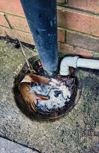 https://plumberincoogee.com.au/uploads/2025/06/blocked-drains-294506.jpg