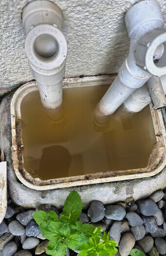 https://plumberincoogee.com.au/uploads/2025/06/blocked-drains-912576.jpg